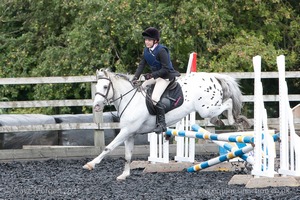 Class 4 - Fences 2'3 to 2'6